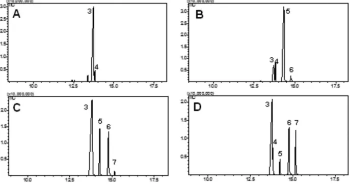 Figure 4. Chromatograms obtained by GC-MS analysis. (A) Spontaneous  isomerization of 6-endo-hydroxycamphor (3) to 6-exo-hydroxycamphor  (4) in presence of CDCl 3 ; (B) 6-endo-hydroxycamphor (3) in absence  of CDCl 3 .