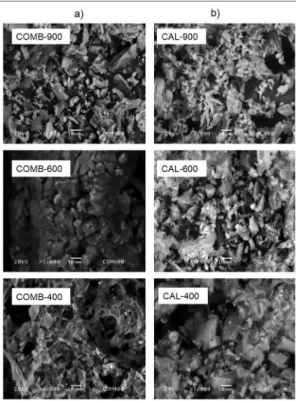 Figure 2. XRD patterns showing the crystalline development of solid- solid-calcination rice-hull samples thermally treated at different temperatures  for 2 h