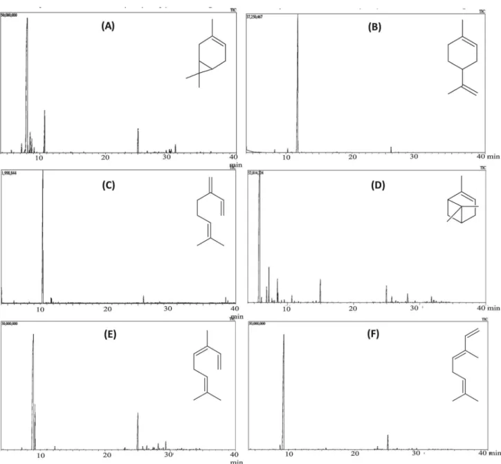 Figure 1. Chromatograms obtained by GC-MS, with structures of each major constituent of the crude essential oils samples from M