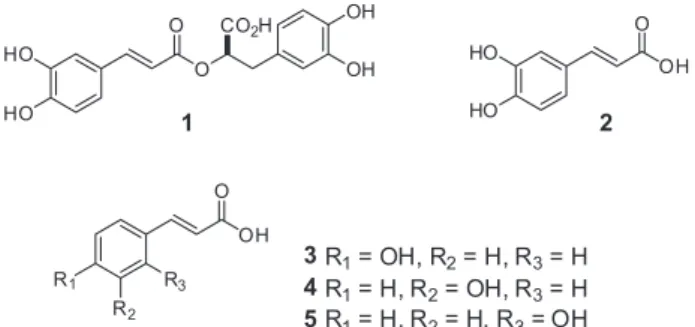 Figure 1. Rosmarinic (1), caffeic (2), p-, m- and o-hydroxycinnamic (3-5)  acids from Plecthrantus ornatus.