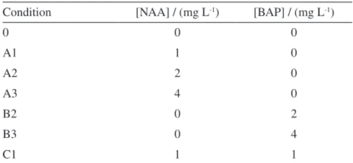 Table 1. Concentration in mg L -1  of NAA and BAP in different cultivation  conditions