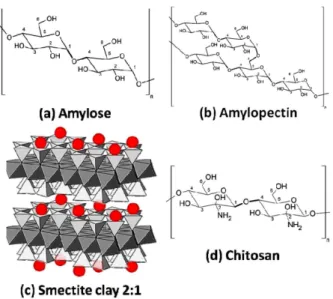 Figure 1. Structures of (a) amylose; (b) amylopectin; (c) smectite clay  2:1 (spheres represent the cations which neutralize the negative charged  layers); (d) chitosan.