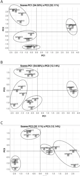 Figure 8. PC1, PC2, and PC3 loading graphs for the image data PCA of  Brazilian and Argentinean banknotes at relative scale.