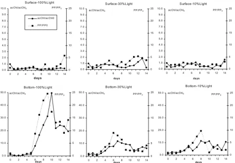 Fig. 6.  Temporal variation of active chlorophyll-a (acChl) and primary production rates (PP)  normalized by the time zero value of each treatment (respectively acChl/acChl 0  and PP/PP 0 ), observed  during c-winter microcosm incubations, from surface and