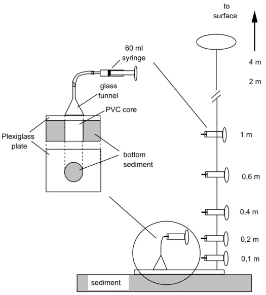 Fig. 2. Schematic representation of in situ collection of microalgae at the water column and water column-sediment interface