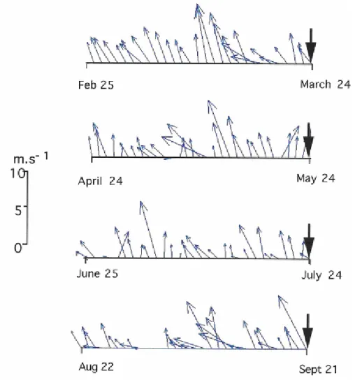 Fig. 7. Wind field prior to selected sampling dates. 