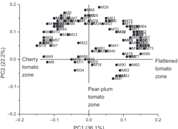 Figure 5. Principal components analysis scores scatter plot of Andean  tomato landraces, modern edible cultivar (4735) and S
