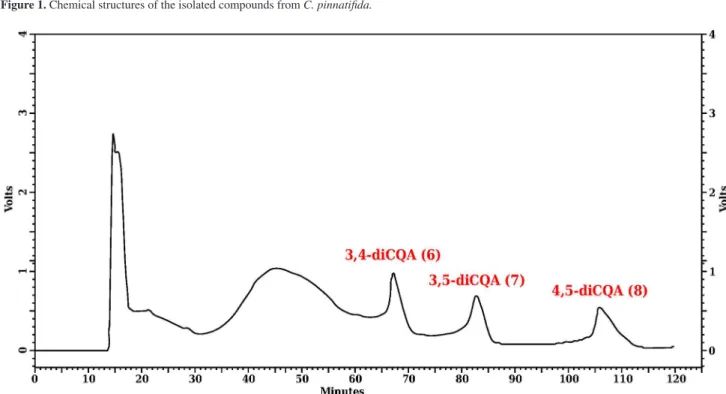 Figure 2. Chromatogram of a sample containing the isomeric dicaffeoylquinic acids 6, 7 and 8.