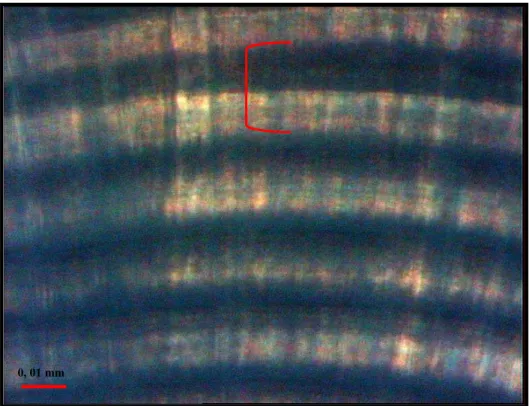 Fig. 4. The bipartite structure of an increment. 