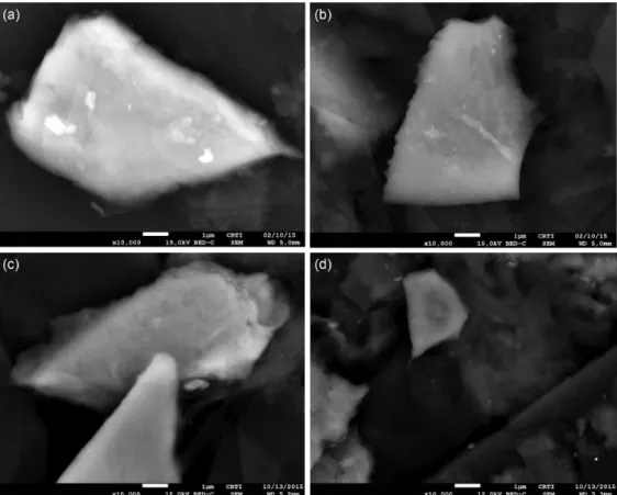 Figure 8. SEM micrographs of the gold electrodeposits on the CPE obtained potentiostatically at +0.200 V from 1.0 × 10 -1  mol L -1  NaCl solution containing: 