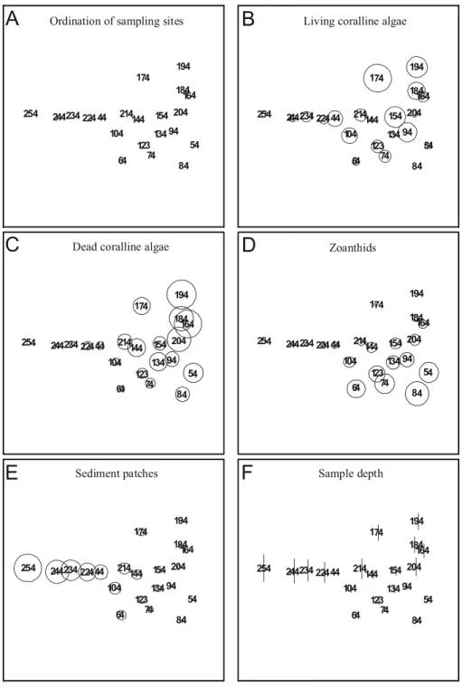 Fig. 8. MDS ordination of bank components from transect T3. Ordination stress value is 0.07