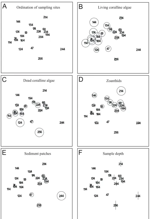 Fig. 10. MDS ordination of bank components from transect T5. Ordination stress value is 0.09