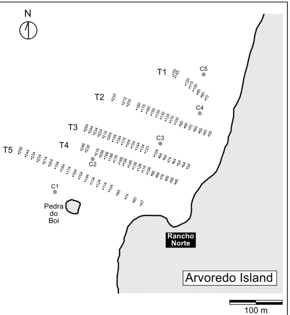Fig. 2. Location of photographic transects and sampling sites. Numbers are distance of samples (meters) from the island  shore