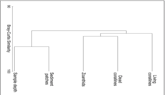 Fig. 5. Classification of bank components and depth. Trends of co-occurrence are shown by cluster A, grouping  sediment patches and depth, and cluster B grouping dead coralline algae, zoanthids and living coralline algae
