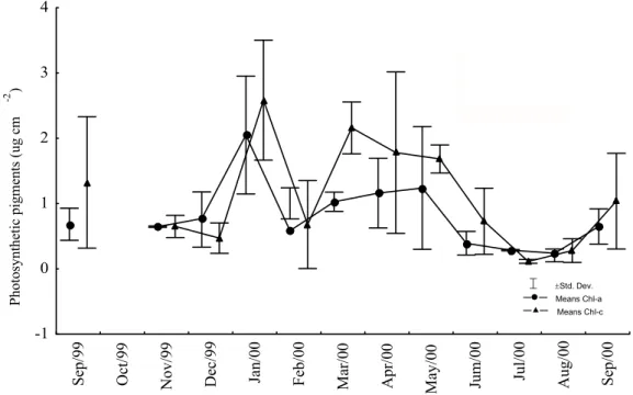 Fig. 3. Seasonal variations of chlorophyll- a  (Chl- a ) and chlorophyll- c  (Chl- c ) of  Montastrea cavernosa zooxanthellae, collected between September 1999 and 2000 in the reefs of Picãozinho, Brazil