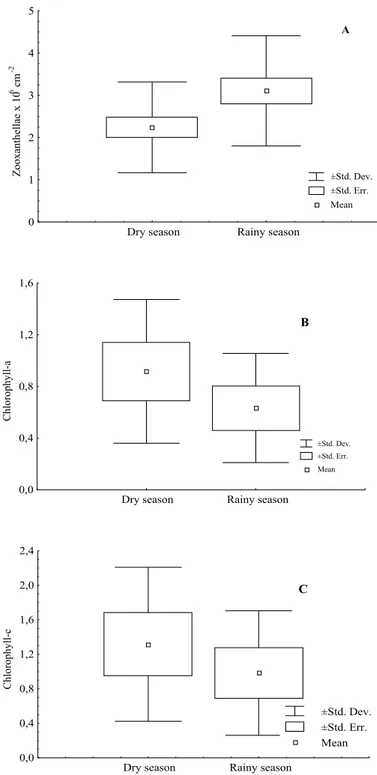 Fig. 4.  Mean values of population density (A) and contents of chlorophyll- a (B) and chlorophyll- c  (C) ( µ g cm -2 ) from  Montastrea cavernosa zooxanthellae, collected in the dry and rainy seasons in the reefs of  Picãozinho, Brazil