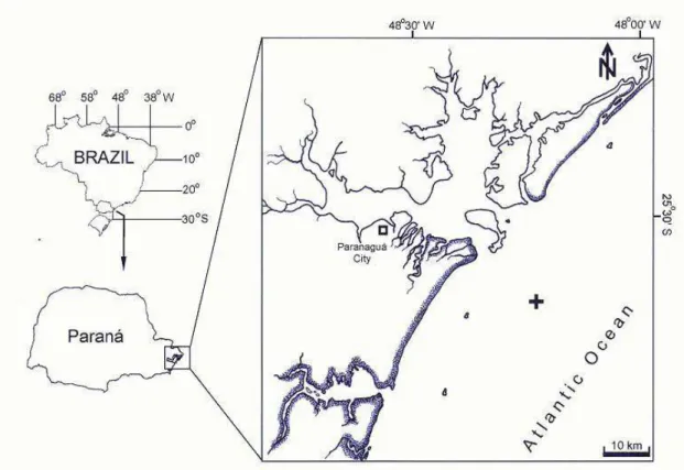 Fig. 1. Map of the study area, showing the sampling station (+). 
