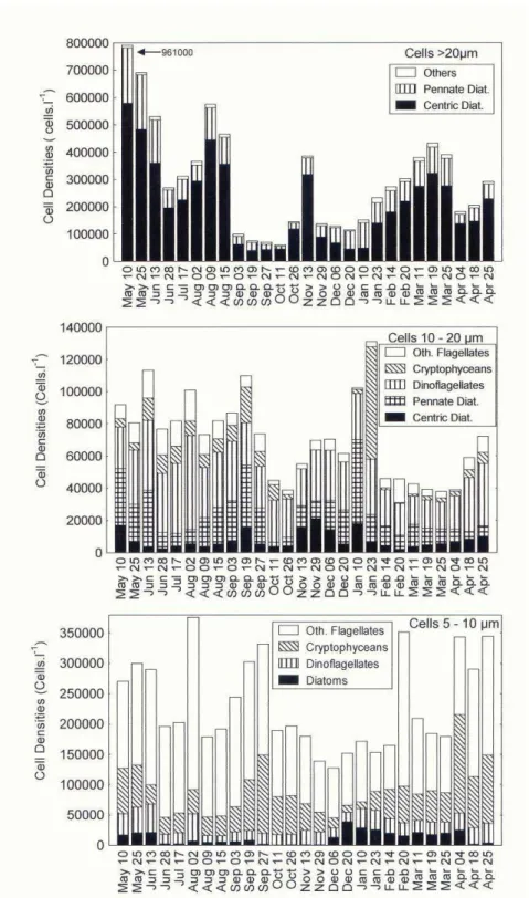 Fig. 6. Annual variation of diatoms and other groups of the phytoplankton in different size  classes, expressed as cell densities