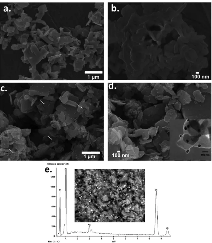 Figure 2. SEM images at (a) low (scale bar: 1 µm) and (b) high resolution (scale bar: 100 nm) of pure ZHL; SEM images at (c) low (scale bar: 1 µm) and  (d) high resolution (scale bar: 100 nm) of AgNPs(2)/ZHL hybrids and (e) typical EDS-SEM spectrum of AgNP