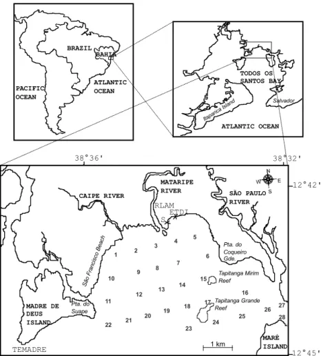 Fig. 1. Map of the northeast portion of Todos os Santos Bay, showing the 28 sampling locations