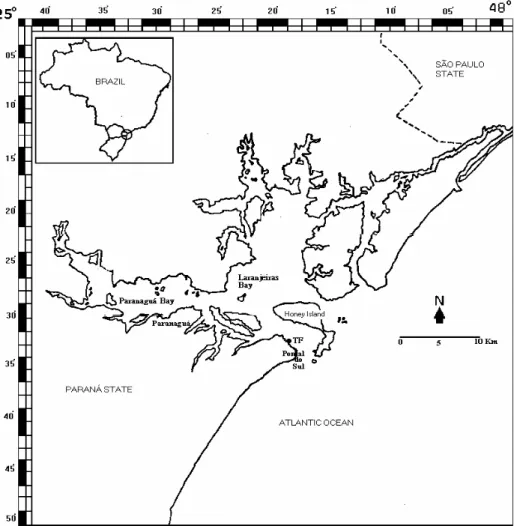 Fig. 1. Map of Paraná coast, showing the sampling point in the tidal flat (TF). 