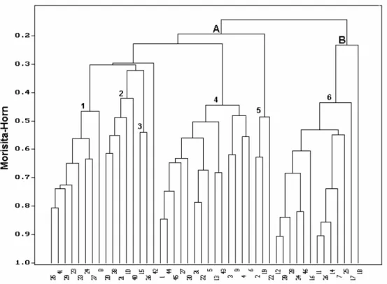 Fig. 3. Dendrogram showing groups of species formed by Cluster Analysis (R-mode) for the study area