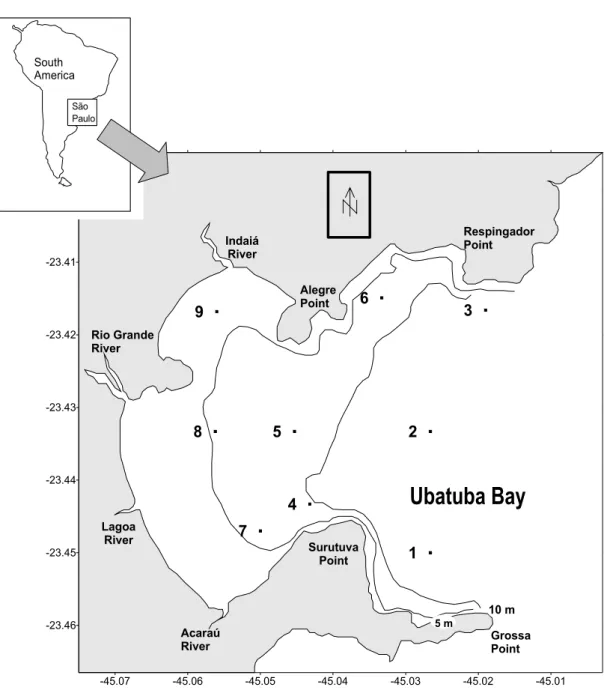 Fig. 1. Location of the sampling sites in Ubatuba Bay, São Paulo State, southeastern Brazil