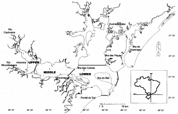 Fig. 1. The Estuarine Complex of Paranaguá Bay. Upper, middle and lower sectors are shown (see text for details)