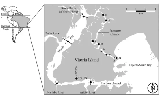 Fig. 1. Geographic location of sampling stations in the Vitória Bay estuarine system. 1, Aribiri River; 2, Marinho  River; 3, Bubu River; 4, Santa Maria da Vitória River; 5, mangrove swamp area; 6, outfall of a primary treatment  wastewater plan, 7, rehabi
