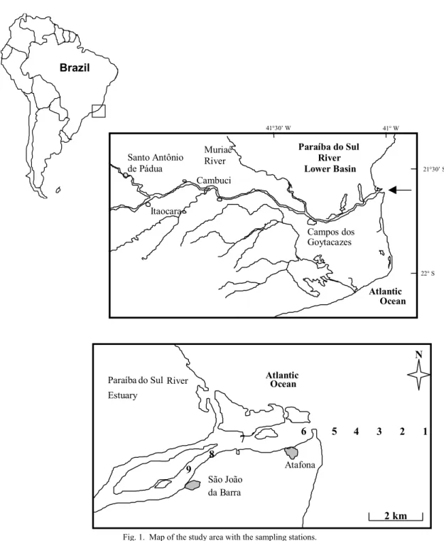 Fig. 1.  Map of the study area with the sampling stations. 