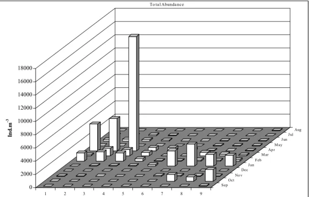 Fig. 4. Total monthly cladoceran abundance (Ind.m -3 ) along the sampling stations (1 to 9)