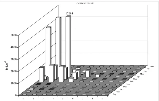 Fig. 5. P. avirostris total monthly abundance (n=108) along the sampling stations (1 to 9)
