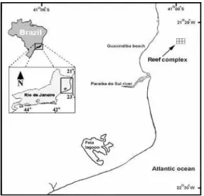 Fig. 1. Study site of the artificial reef (AR) implantation on   the north coast of Rio de Janeiro
