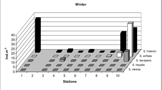 Fig. 4. Winter distribution of  chaetognaths in the Vitória Bay/Passage Channel estuarine system (ind