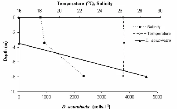Fig. 7. Temperature, salinity, and Dinophysis acuminata density at three different depths - surface, mid and bottom -  of the sampling station 5, inner polyhaline sector