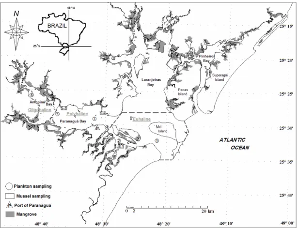 Fig. 1. Map of the estuarine complex of Paranaguá (ECP) showing the phytoplankton (circles) and mussel Mytella guyanensis  (rectangles) sampling stations, located around the Port of Paranaguá (triangle), Brazil