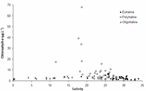 Fig. 4. Chlorophyll-a in function of salinity in different areas of the estuarine complex of Paranaguá (ECP), Brazil – euhaline,  polyhaline, and oligohaline sectors