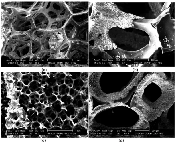 Figure 3. Schematic representation of the RVC electrodes covered with  PbO 2  film, shown in Figure 2