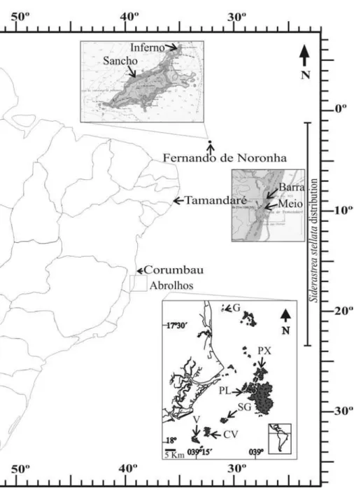 Fig. 1. Map of the studied sites and the geographical distribution of the Brazilian reef coral Siderastrea  stellata (vertical bar)