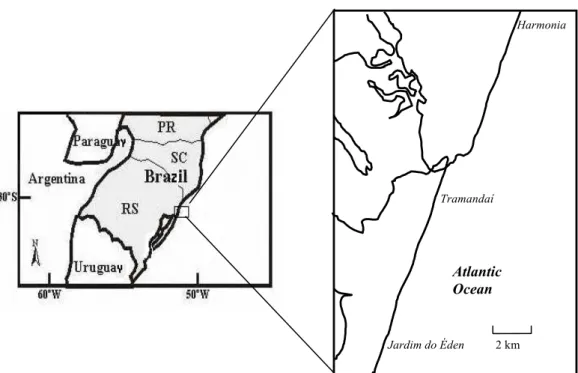 Fig. 1. Study site. Jardim do Éden and Harmonia beaches are 10 km distant from Tramandaí beach.
