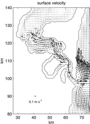 Fig. 8. Surface velocity vectors (m s -1 ) in the estuarine region  on day 4 for the basic case experiment