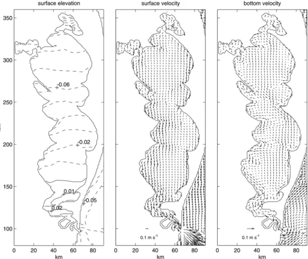 Fig. 2. Surface elevation (m), surface and bottom velocity vectors (m s -1 ) on day 3 for the basic case experiment