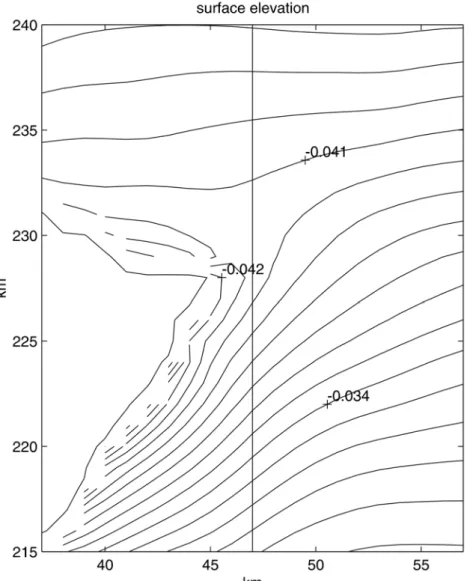Fig. 5. Surface elevation (m) on day 3 for the basic case experiment. The straight line shows the  location of transect A
