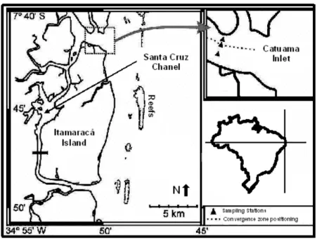 Fig. 1. Itamaracá Estuarine System (Pernambuco, Brazil), showing Catuama Inlet (Santa Cruz Chanel  North mouth), with sampling stations in relation to convergence zone