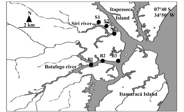 Fig. 1. Map of study area showing the stations sampled in the Botafogo (B1, B2 and B3) and  Siri (S1, S2 and S3) estuaries  (Northeastern Brazil)