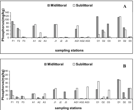 Fig. 4.Values of phosphorus concentration (mg/kg)  for midlittoral and sublittoral  stations in  the Botafogo (A) and Siri (B) estuaries (F= February, A= April, J= June, AG= August, O= 