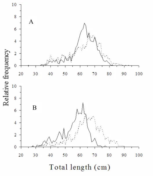 Fig. 2. Population structure Mustelus schmitti represented by the relative frequency of total length (cm) by sex   in (A) the 1994 spring cruise and (B) the 1995 summer cruise (Males: continuous line; females: dotted line)