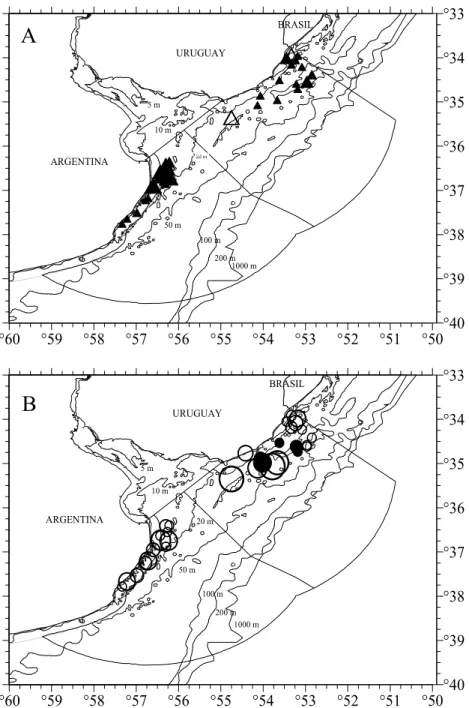 Fig. 5. Distribution and density of males (▲) (A) and females (○) (B) of Mustelus schmitti in the  Argentinean-Uruguayan Common Fishing Zone for summer inshore cruise