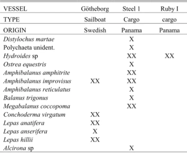Table 6. Checklist of fouling species observed on the hulls of  three vessels operating internationally