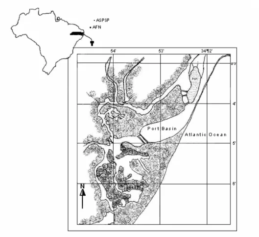 Fig. 1. Location of the Port of Recife and Brazilian archipelagos in the South Atlantic Ocean: AFN= 